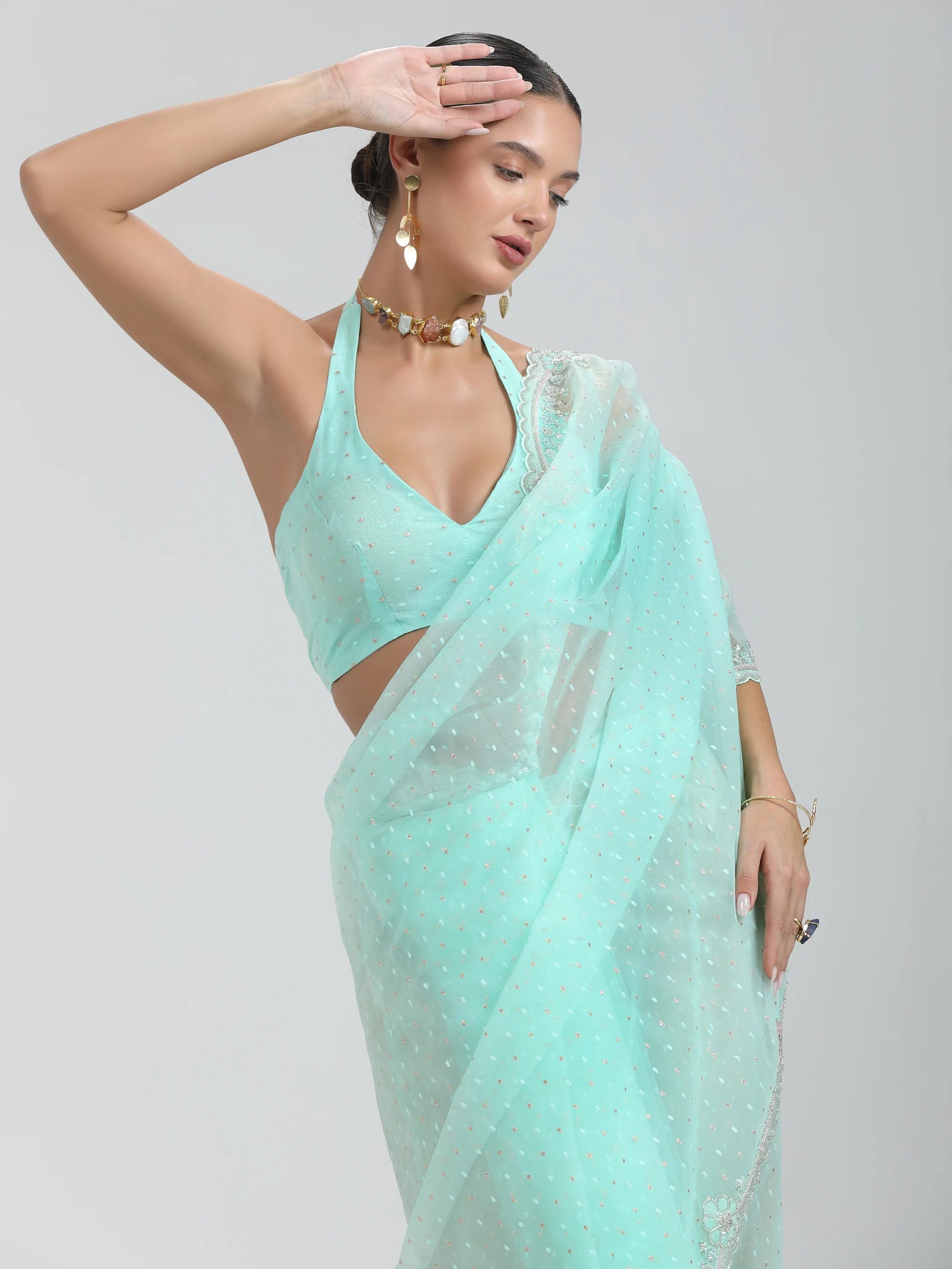 ORGANZA DUO DOTS EMBROIDERY SAREE