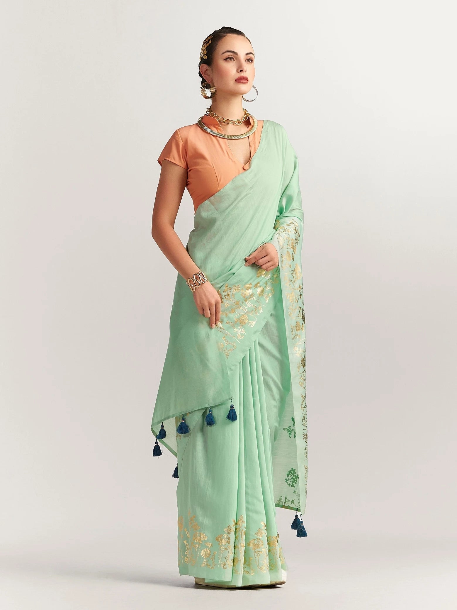 PERI PERI BUTTERFLY FOIL SAREE WITH BLOUSE