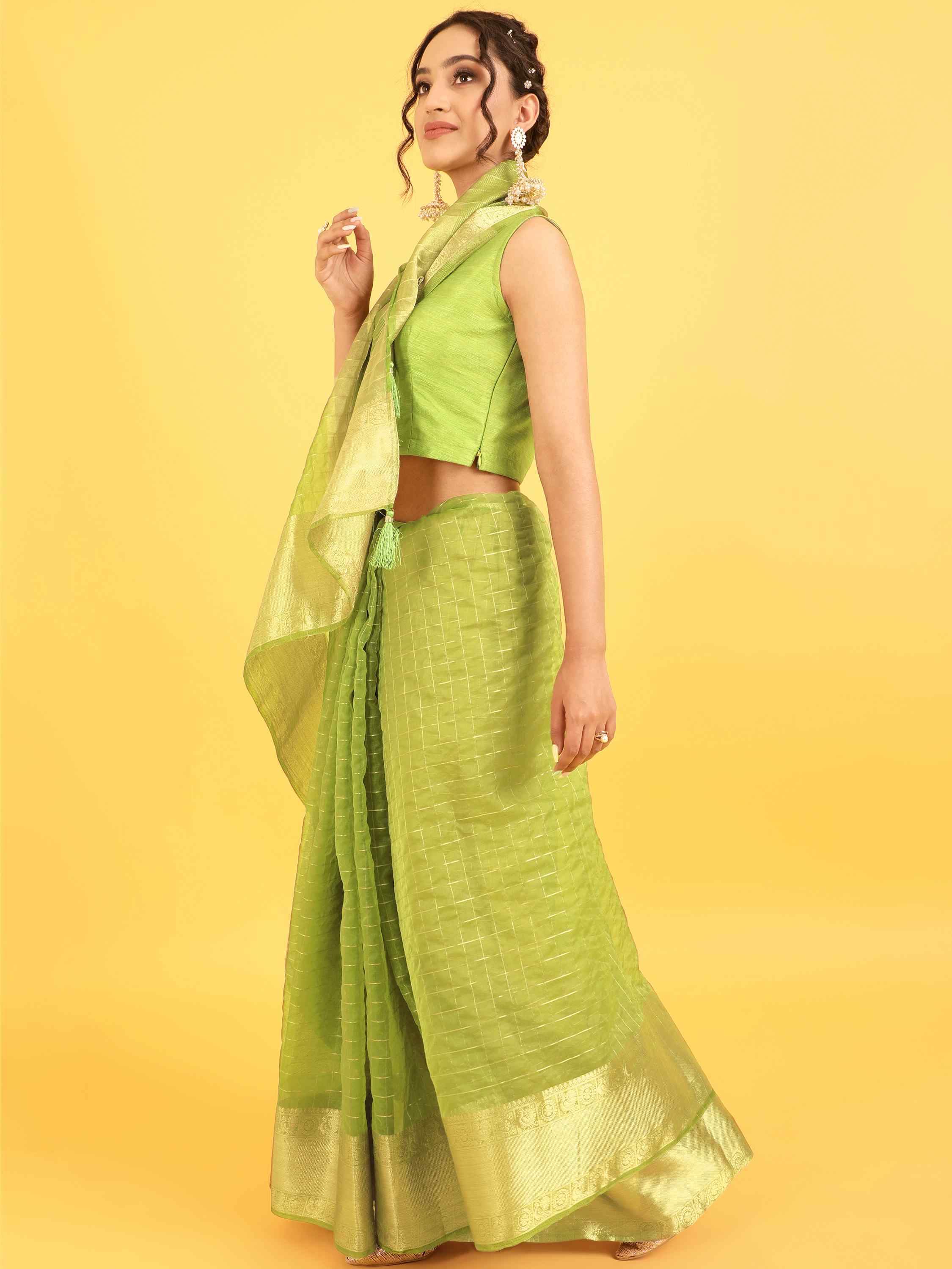 DUNGRANI GREEN ORGANZA CHEX SAREE WITH BLOUSE