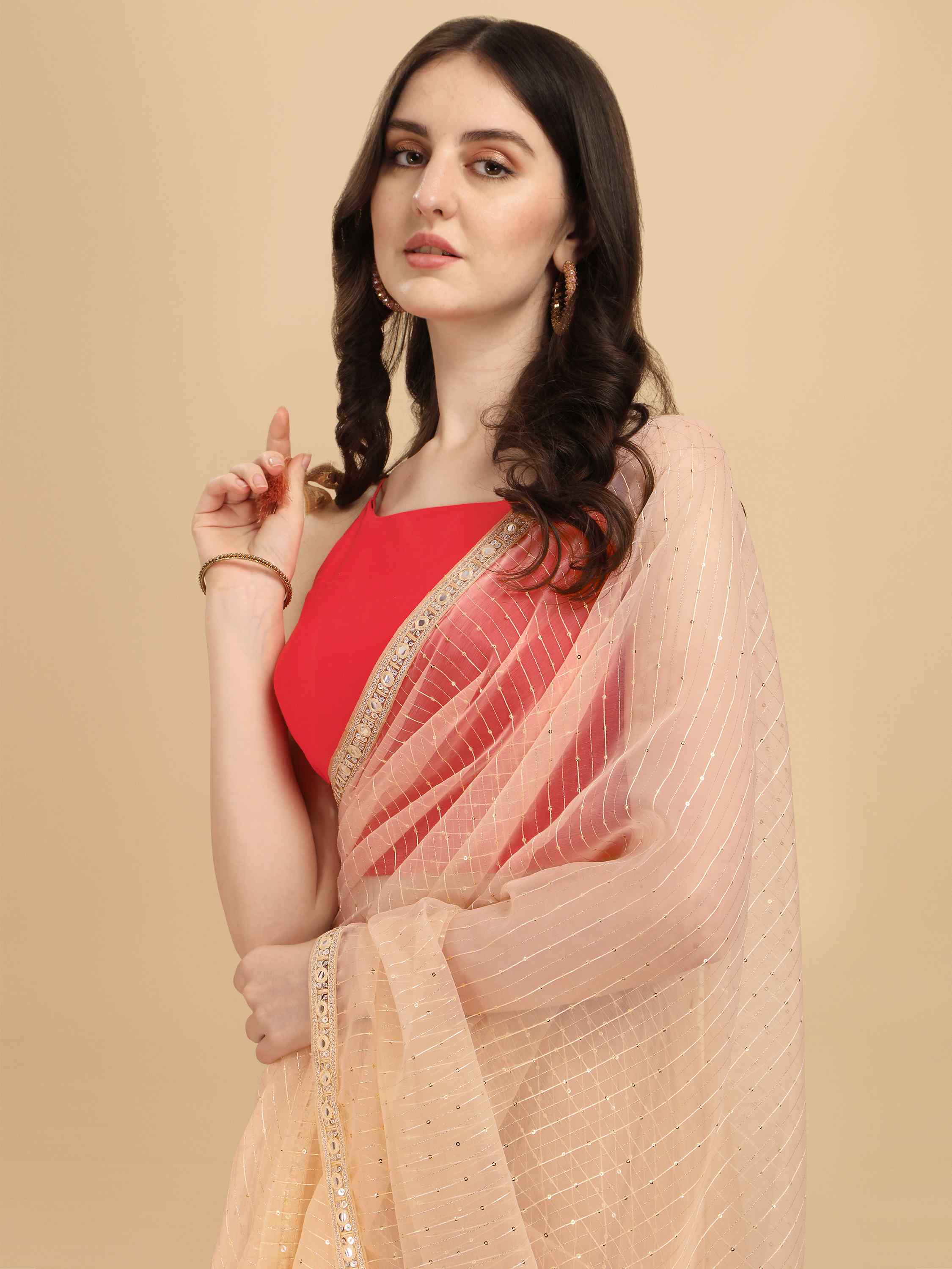 CHIKOO ORGANZA FEEZY SILK SAREE